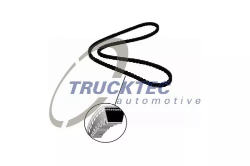 TRUCKTEC AUTOMOTIVE Keilriemen (05.19.066)