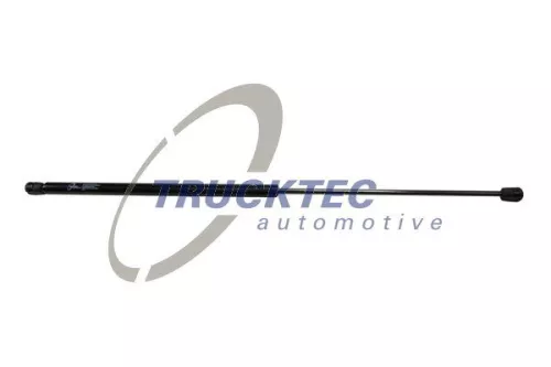 TRUCKTEC AUTOMOTIVE Gasfeder (05.66.003)