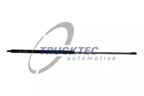 TRUCKTEC AUTOMOTIVE Gasfeder (05.66.007)
