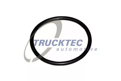 TRUCKTEC AUTOMOTIVE Dichtung, Thermostat (07.19.039)