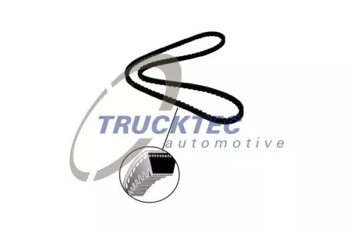 TRUCKTEC AUTOMOTIVE Keilriemen (08.19.100)