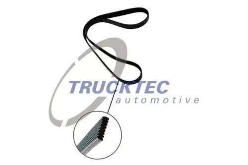 TRUCKTEC AUTOMOTIVE Keilrippenriemen (08.19.262)