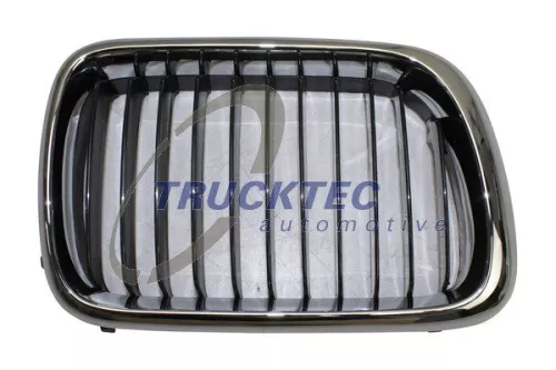 TRUCKTEC AUTOMOTIVE Kühlergitter (08.62.256)