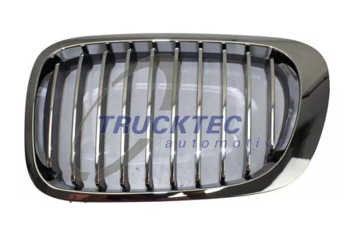 TRUCKTEC AUTOMOTIVE Kühlergitter (08.62.296)