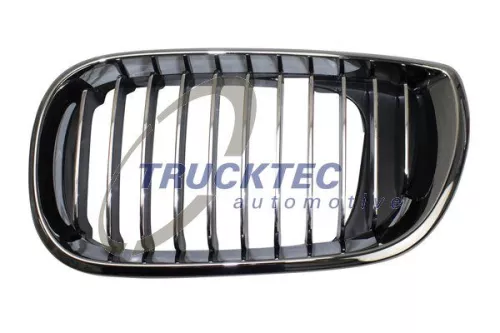 TRUCKTEC AUTOMOTIVE Kühlergitter (08.62.298)