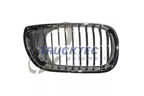 TRUCKTEC AUTOMOTIVE Kühlergitter (08.62.306)