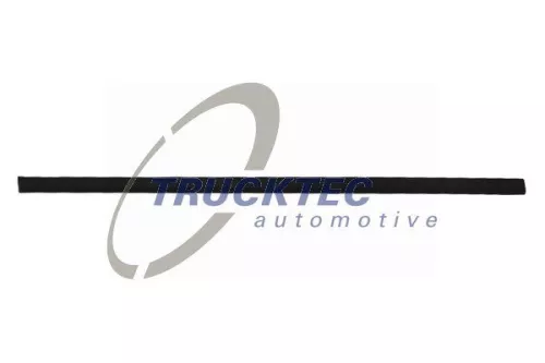 TRUCKTEC AUTOMOTIVE Zier-/Schutzleiste, Tür (08.62.903)