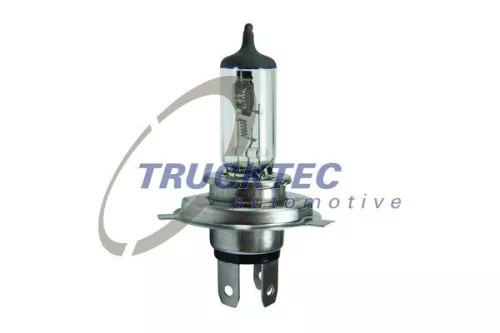 TRUCKTEC AUTOMOTIVE Glühlampe, Hauptscheinwerfer (88.58.003)