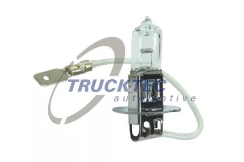 TRUCKTEC AUTOMOTIVE Glühlampe, Hauptscheinwerfer (88.58.102)