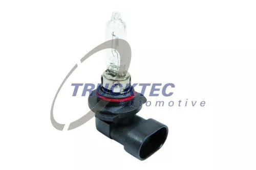 TRUCKTEC AUTOMOTIVE Glühlampe, Hauptscheinwerfer (88.58.113)