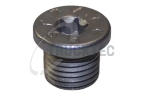 Screw Plug, oil sump