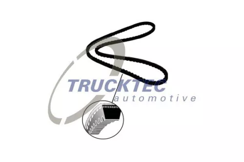 TRUCKTEC AUTOMOTIVE Keilriemen (01.19.183)