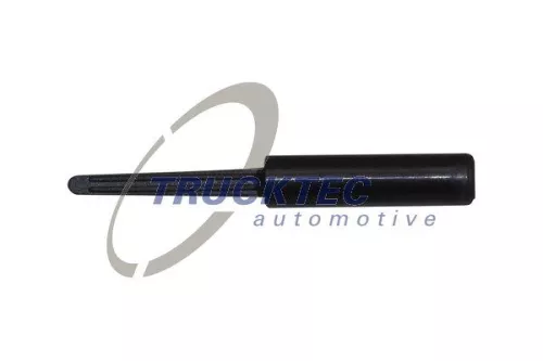 TRUCKTEC AUTOMOTIVE Verschluss-/Schutzkappe (01.36.133)