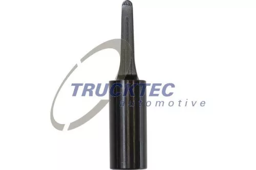 TRUCKTEC AUTOMOTIVE Verschluss-/Schutzkappe (01.36.136)