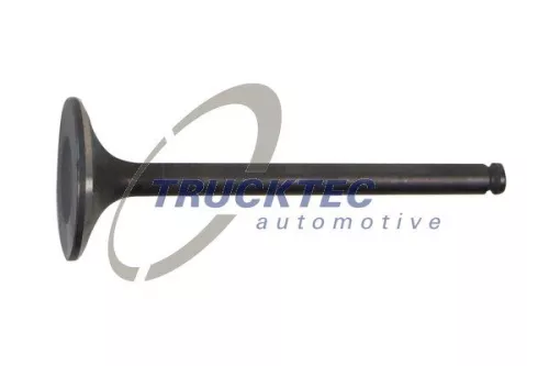 TRUCKTEC AUTOMOTIVE Einlassventil (02.12.139)