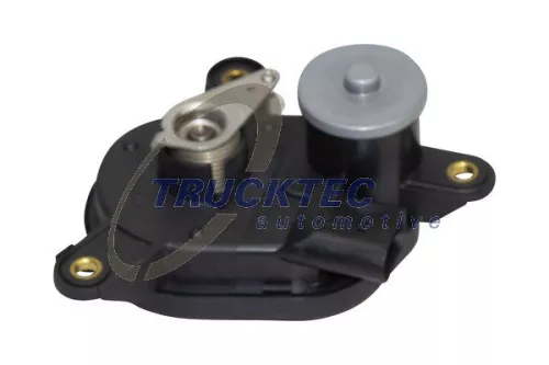 TRUCKTEC AUTOMOTIVE Stellelement, Drallklappen (Saugrohr) (02.14.070)