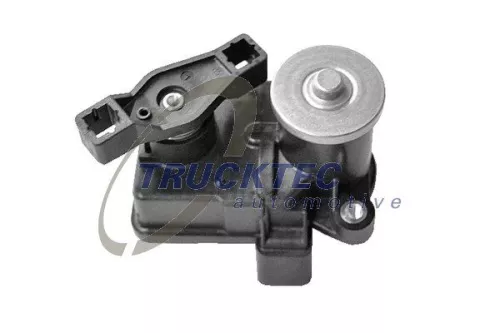 TRUCKTEC AUTOMOTIVE Stellelement, Drallklappen (Saugrohr) (02.14.072)