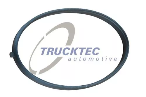 TRUCKTEC AUTOMOTIVE Dichtung, Ansaugkrümmergehäuse (02.16.055)