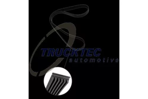 TRUCKTEC AUTOMOTIVE Keilrippenriemen (02.19.443)