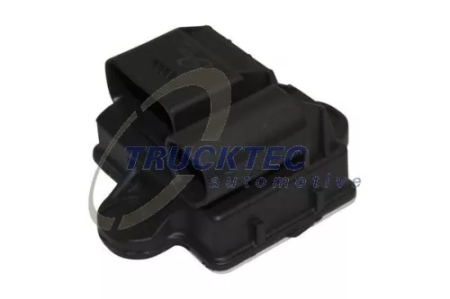 TRUCKTEC AUTOMOTIVE Steuergerät, Glühzeit (02.42.073)