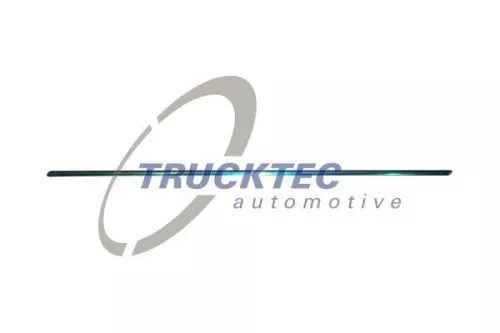 TRUCKTEC AUTOMOTIVE Zier-/Schutzleiste, Tür (02.52.130)