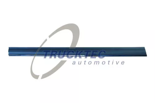 TRUCKTEC AUTOMOTIVE Zier-/Schutzleiste, Tür (02.52.132)