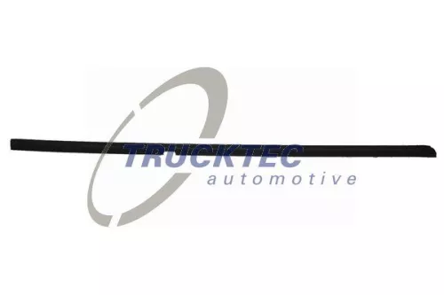 TRUCKTEC AUTOMOTIVE Zier-/Schutzleiste, Türscheibe (02.54.018)