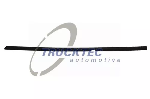 TRUCKTEC AUTOMOTIVE Zier-/Schutzleiste, Türscheibe (02.54.019)