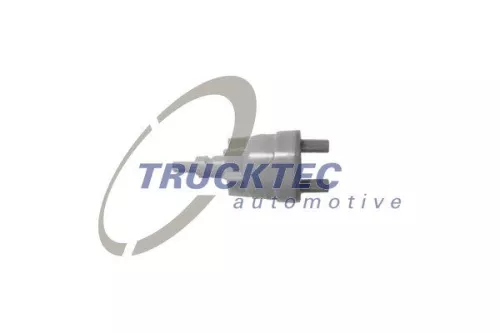 TRUCKTEC AUTOMOTIVE Ventil, Unterdruckpumpe (02.56.001)