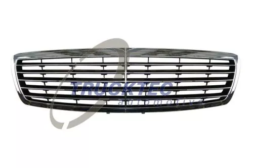 TRUCKTEC AUTOMOTIVE Kühlergitter (02.60.156)